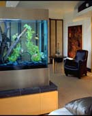 aquarium sur mesure - espace d'eau - 3