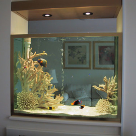 Aquarium sur mesure: diviser une pièce