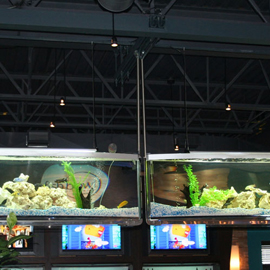 Aquarium sur mesure: suspendu